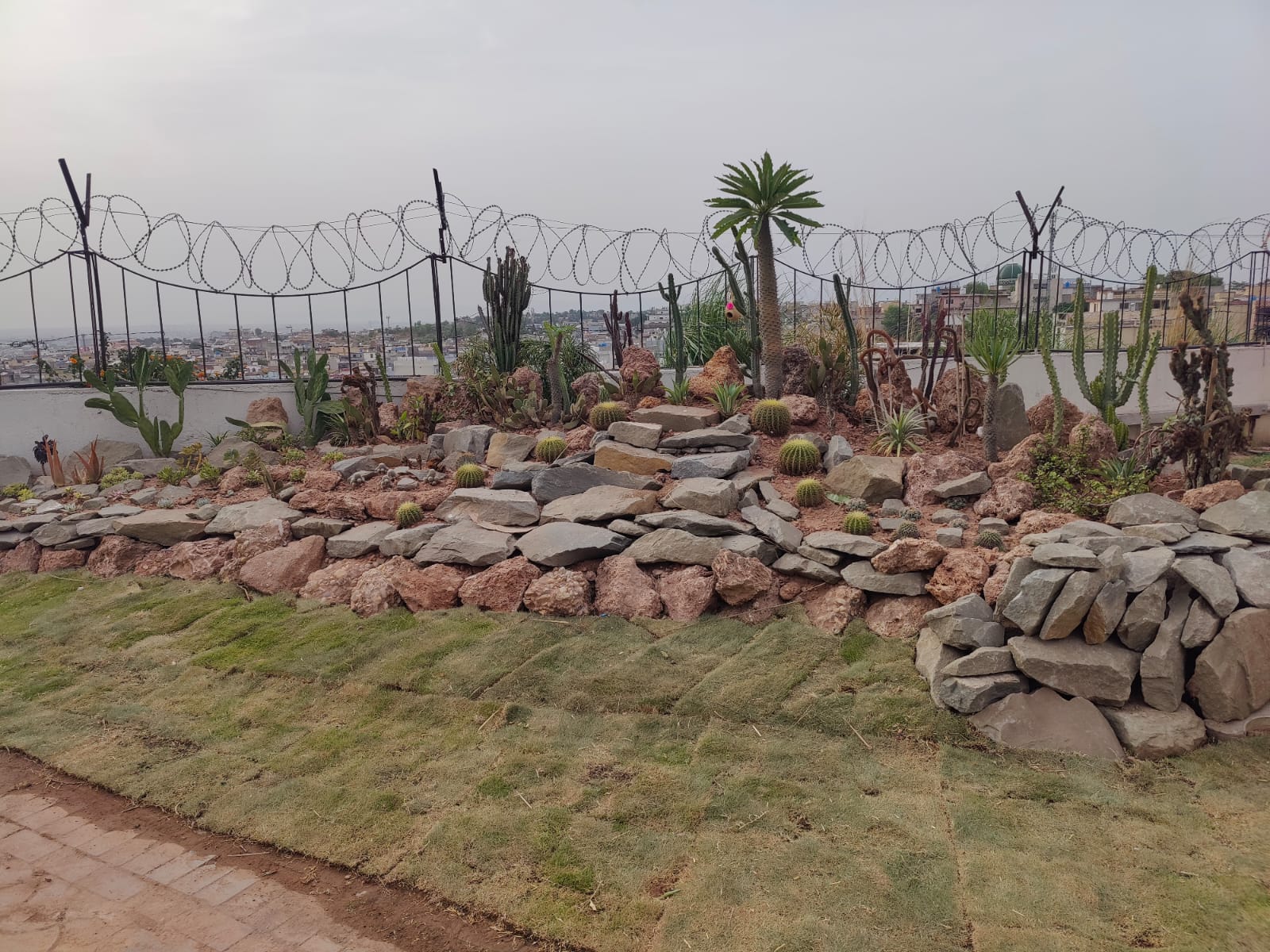 Rockeries & Cactus Gardens
